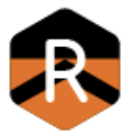 exploring R at Princeton logo